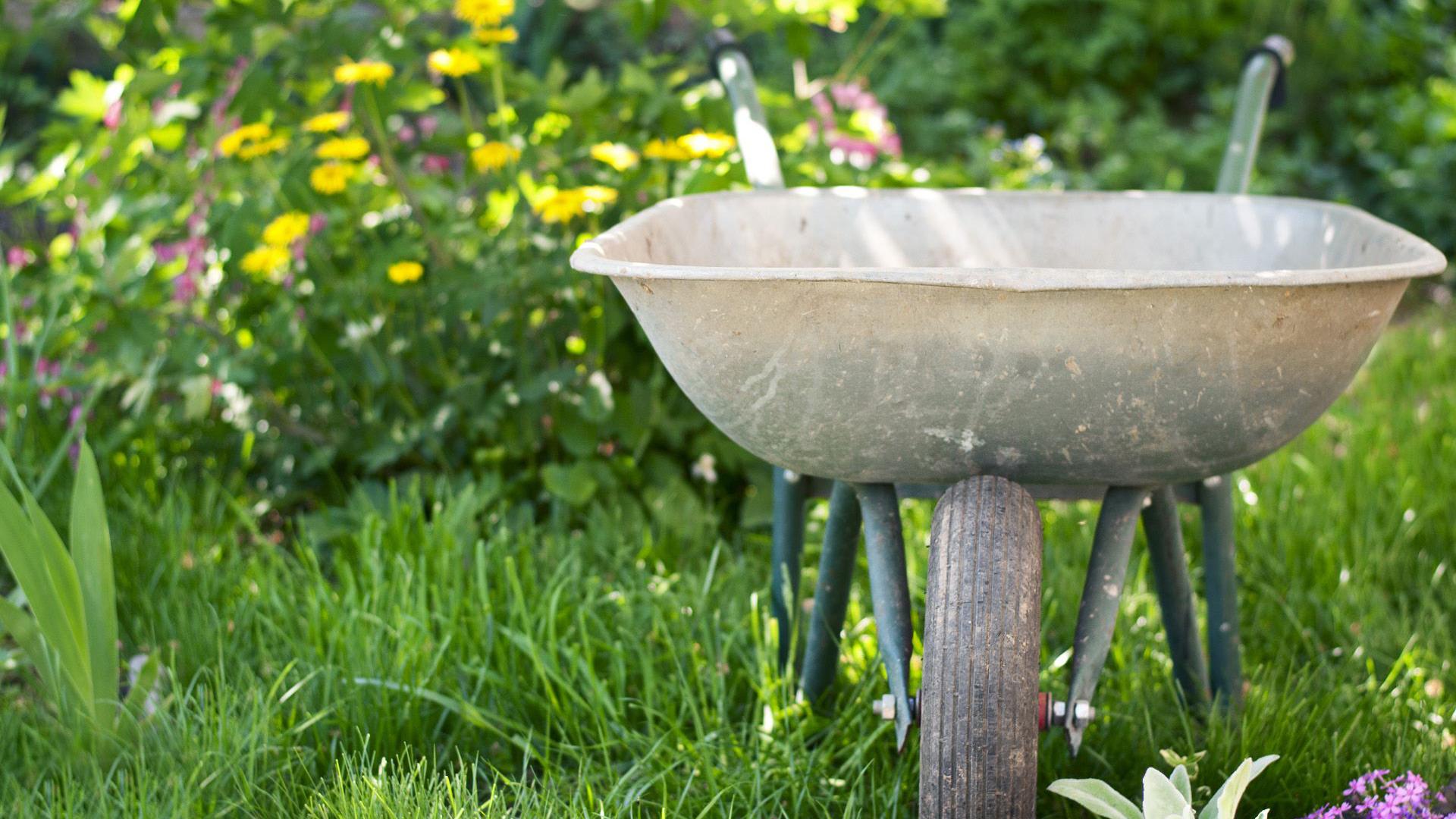 Garten und Planung
