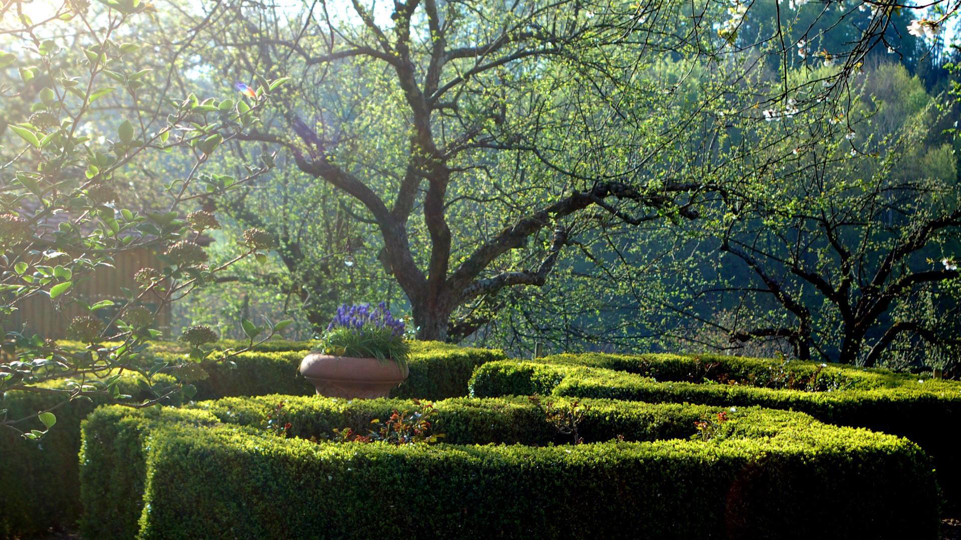 Klassicher Buchsgarten